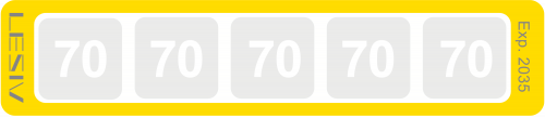 Термоиндикатор L-MARK PRO XL70